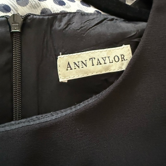 Ann Taylor Elegant Black Sleeveless Dress - Picture 5 of 8